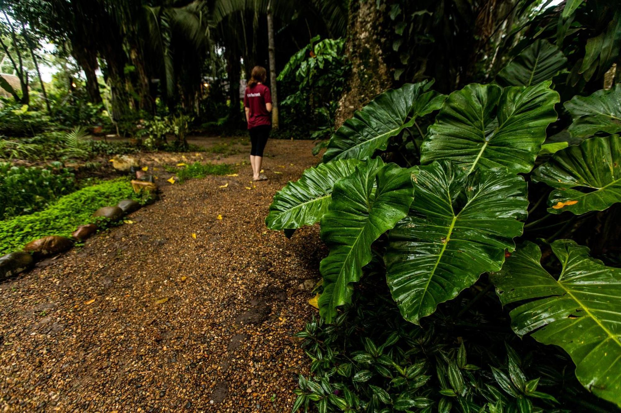 Kapievi Ecovillage Puerto Maldonado Eksteriør bilde